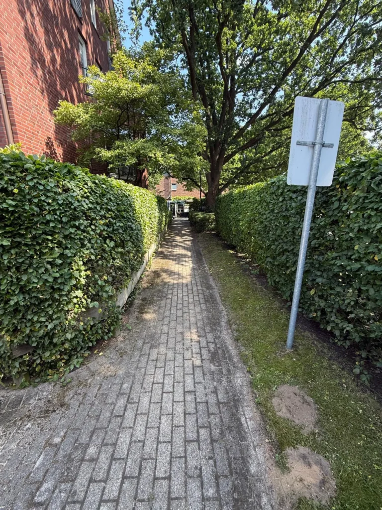 Garden Maintenance