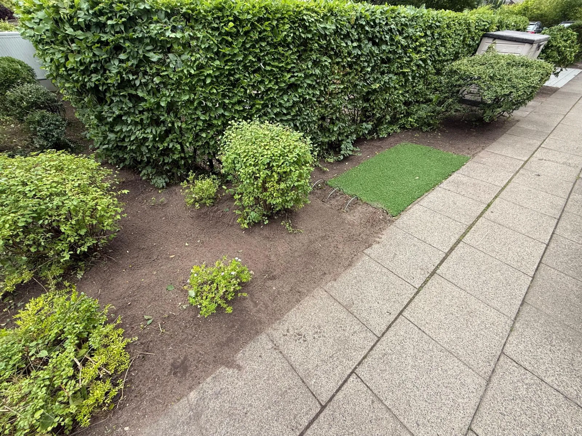 Gartenpflege mit Beetpflege und Unkrautentfernung