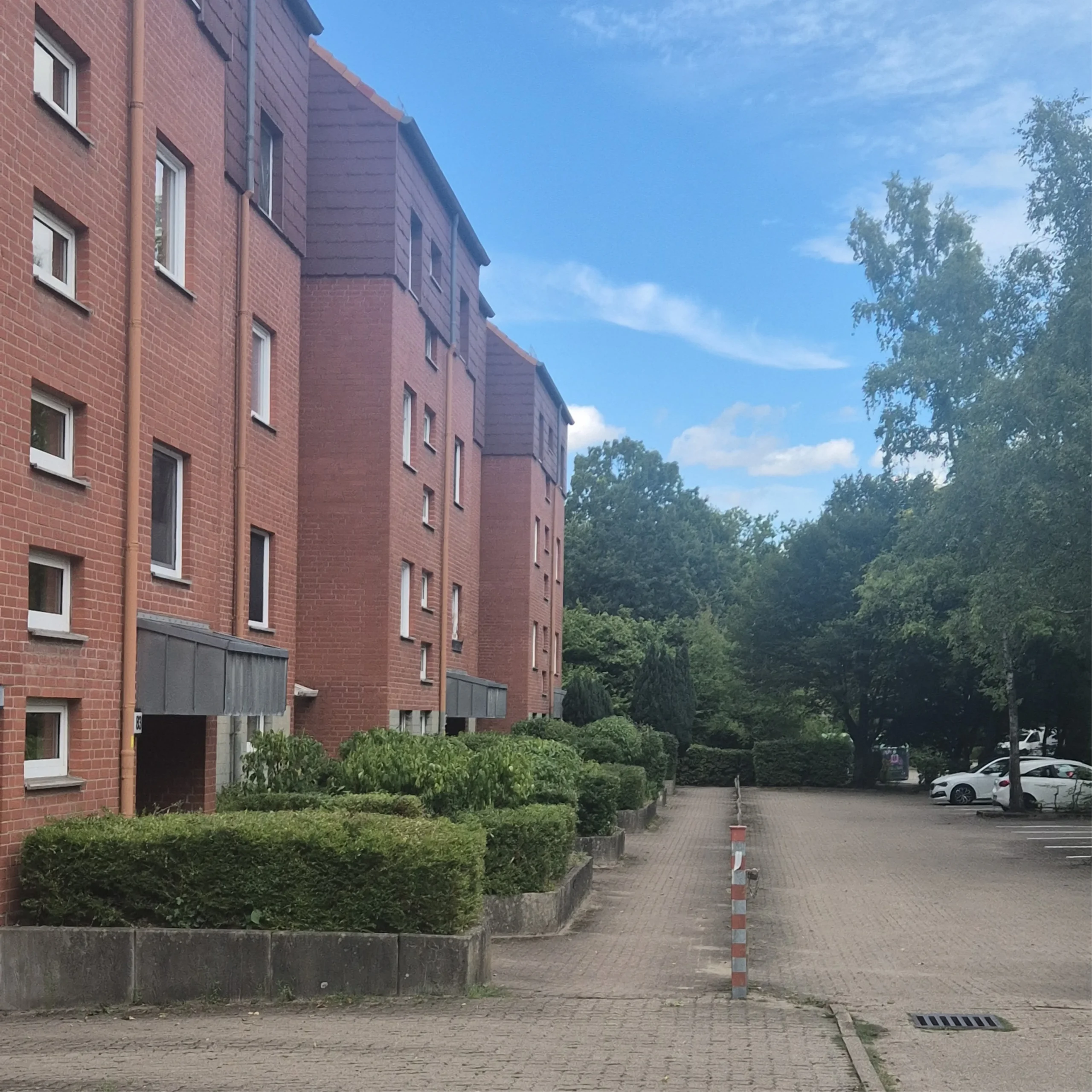 Gepflegte Hecke an einem Wohnhaus